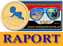 raport_logo