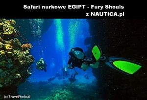 Safari nurkowe EGIPT – Fury Shoals z NAUTICA.pl